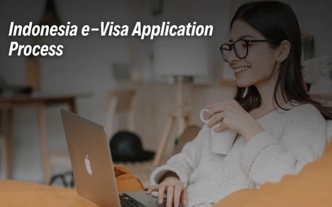 Indonesia eVisa Application Process