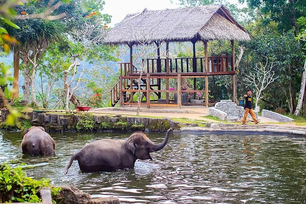 Bali Safari and Marine Park