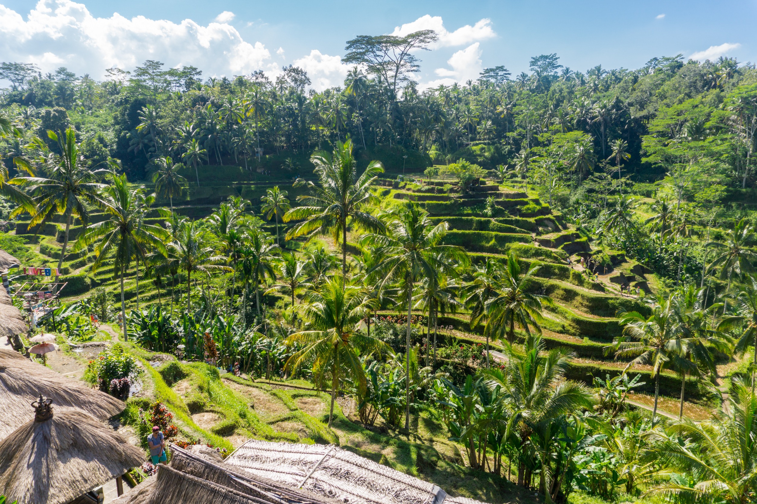 Tegalalang Rice Terrace