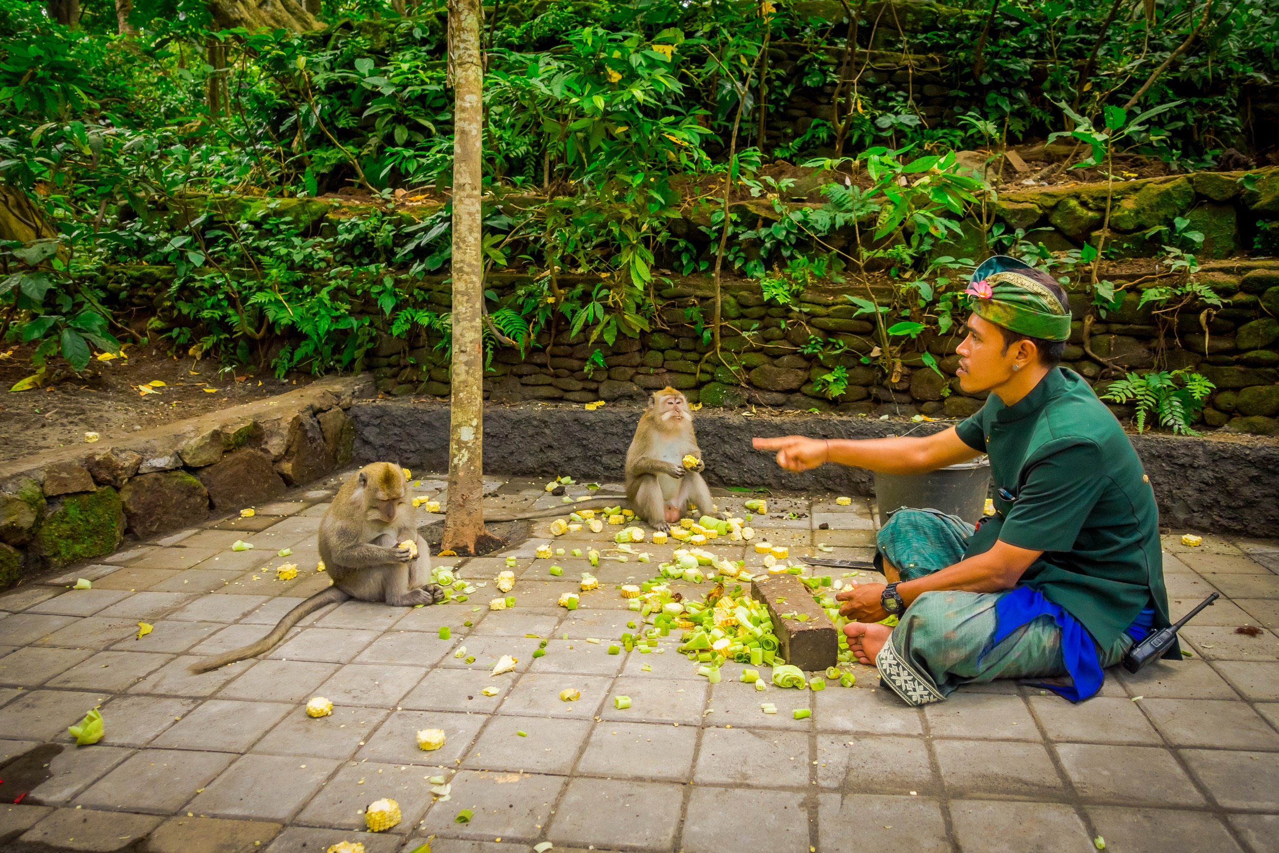 Ubud Monkey Forest